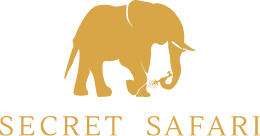 Contact Secret Safari Secret Safari logo